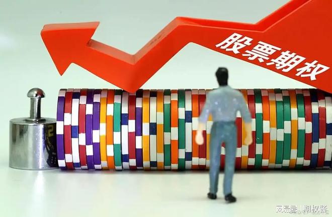 股票期权目前有几只标的？